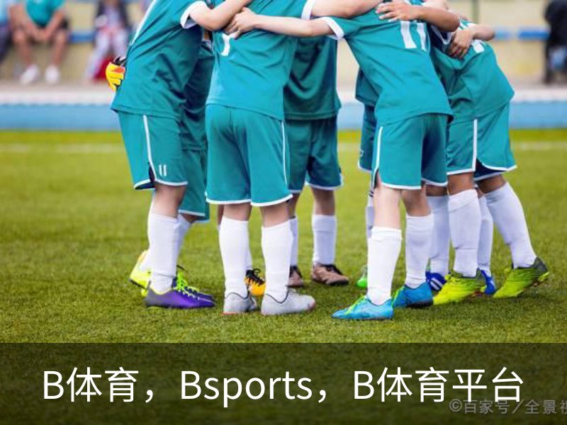 了解B体育，Bsports，B体育平台